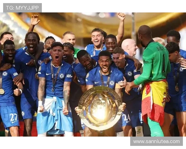 切尔西重塑蓝色辉煌全面解析球队复兴之路与未来挑战