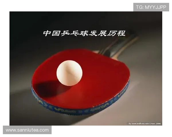 乒乓球运动的发展历程与技术创新探索对中国体育影响的深远意义
