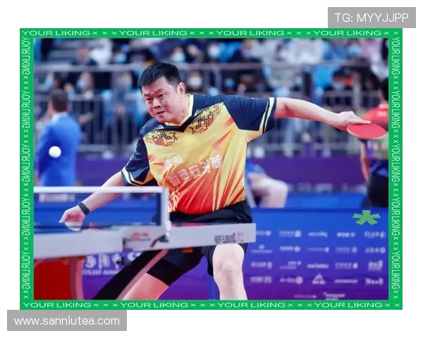 乒乓球运动的历史发展与现代竞技技术的革新探讨