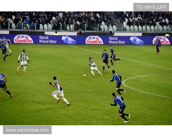 网球运动发展历程与未来趋势分析:技术革新与全球化影响 网球运动发展历程与未来趋势分析:技术革新与全球化影响