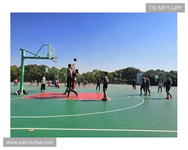 从热血球场到团队精神探寻篮球运动对青春成长的深远影响