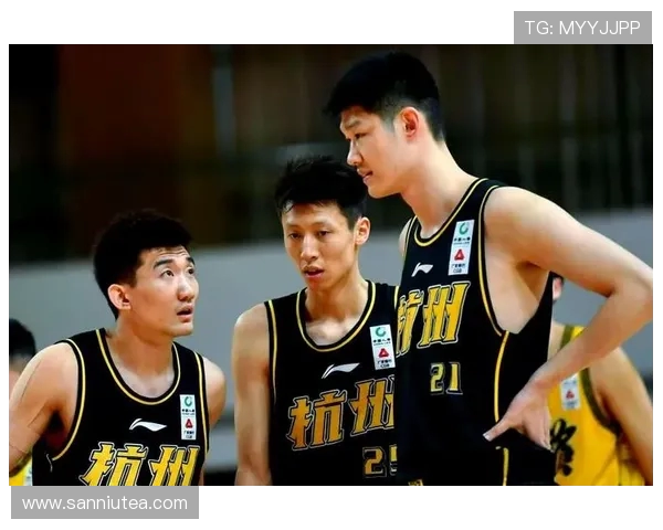 浙江广厦新赛季全面升级冲击总冠军展望球队阵容与战术全解析