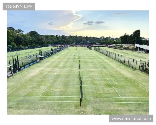 网球运动发展历程解析：从草地到硬地场地的技术与战术变革