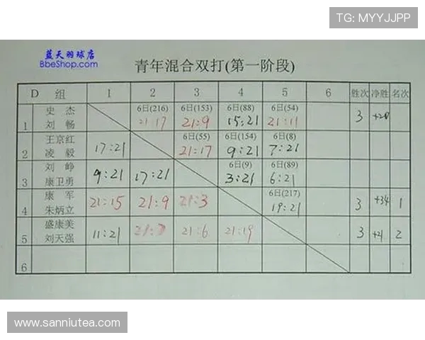 北京羽毛球队个人能力分析及其对比赛成绩的影响研究