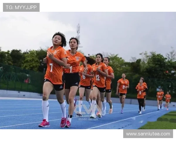 杭州排球队耐力对比深度解析与训练策略探讨 杭州排球队耐力对比深度解析与训练策略探讨