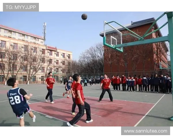 西安篮球队篮球意识大幅提升创新高引发关注与期待 西安篮球队篮球意识大幅提升创新高引发关注与期待