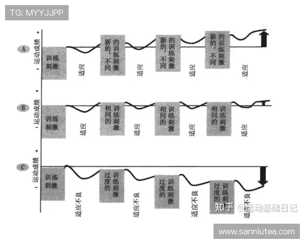 乒乓球技术与战术创新:从基础训练到高水平竞技的全面解析