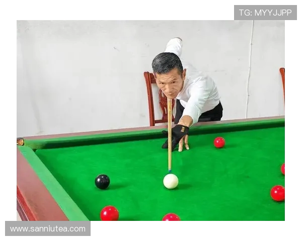 以台球为纽带探索精准与思维的完美结合揭示竞技与艺术的独特魅力