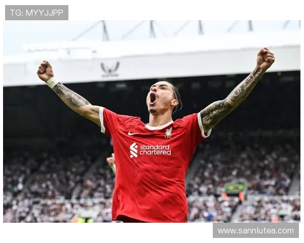 努涅斯在赛场上的崛起与挑战解析及未来发展展望 努涅斯在赛场上的崛起与挑战解析及未来发展展望